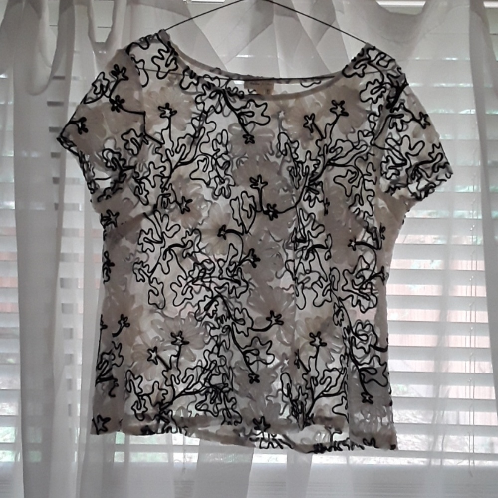 Anthropologie sheer, cropped top
